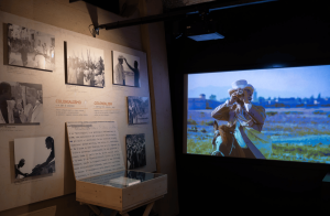 Temporary Exhibitions